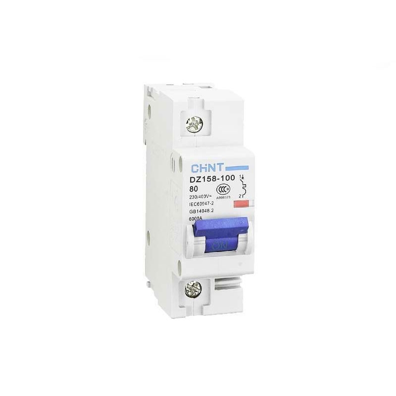 Chint DZ158-1-100A MCB 1 Pole 100 Amp 10kA