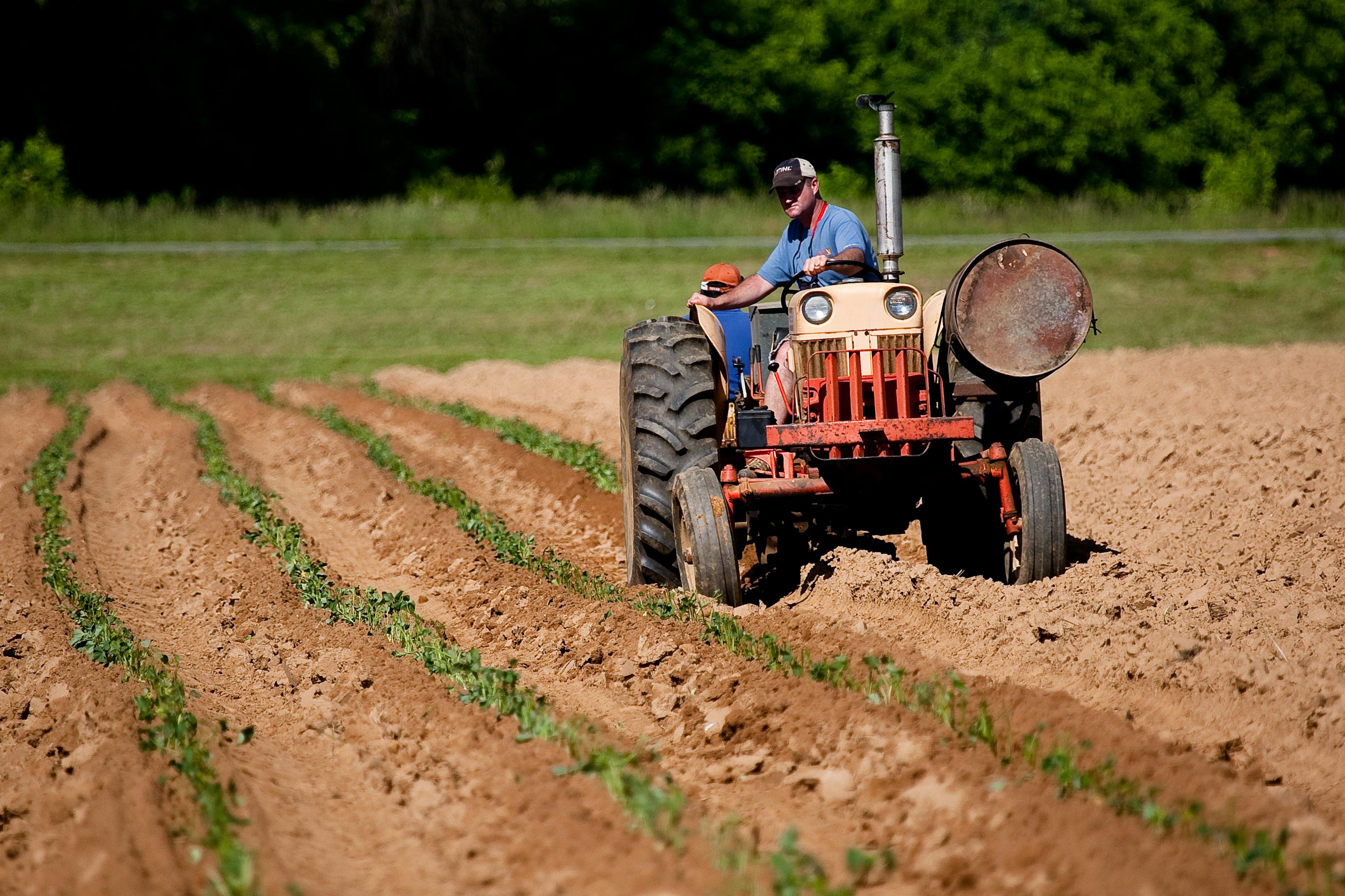 Widespread Anxiety as the Cost of Rural Crime Skyrockets