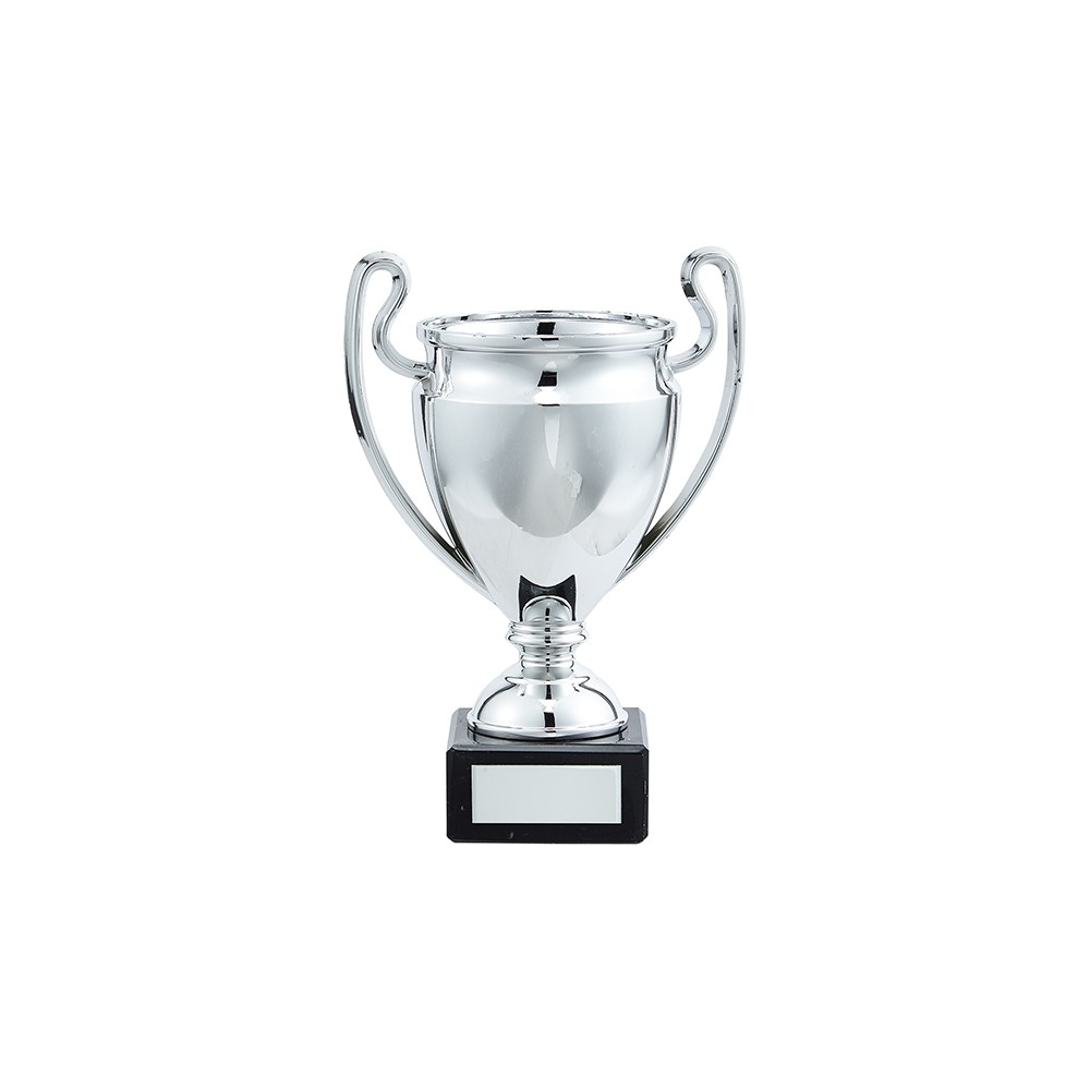 Suppliers Of Champions League Style Cup - 3 sizes Hertfordshire