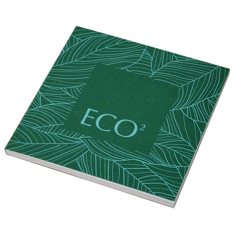 Eco&sup2; Book