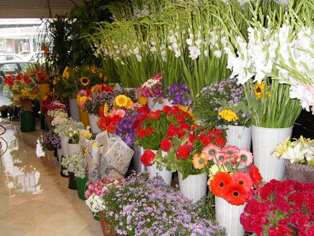 Display Units for Florist Shops