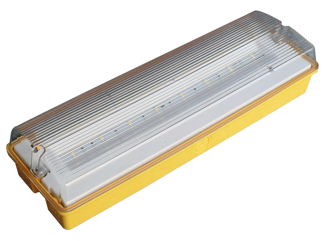 LED 110V Emergency Light Maintained
[RA110AC50LED]