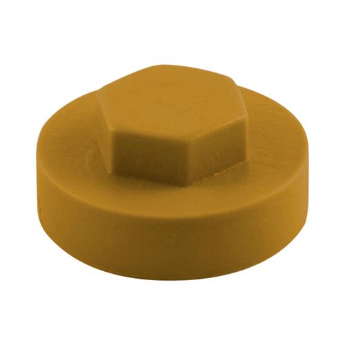 TIMco 16mm Dia Aztec Push-On Cover Cap