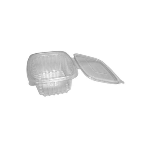 Suppliers Of Salad Container 500cc - DN1300 For Schools