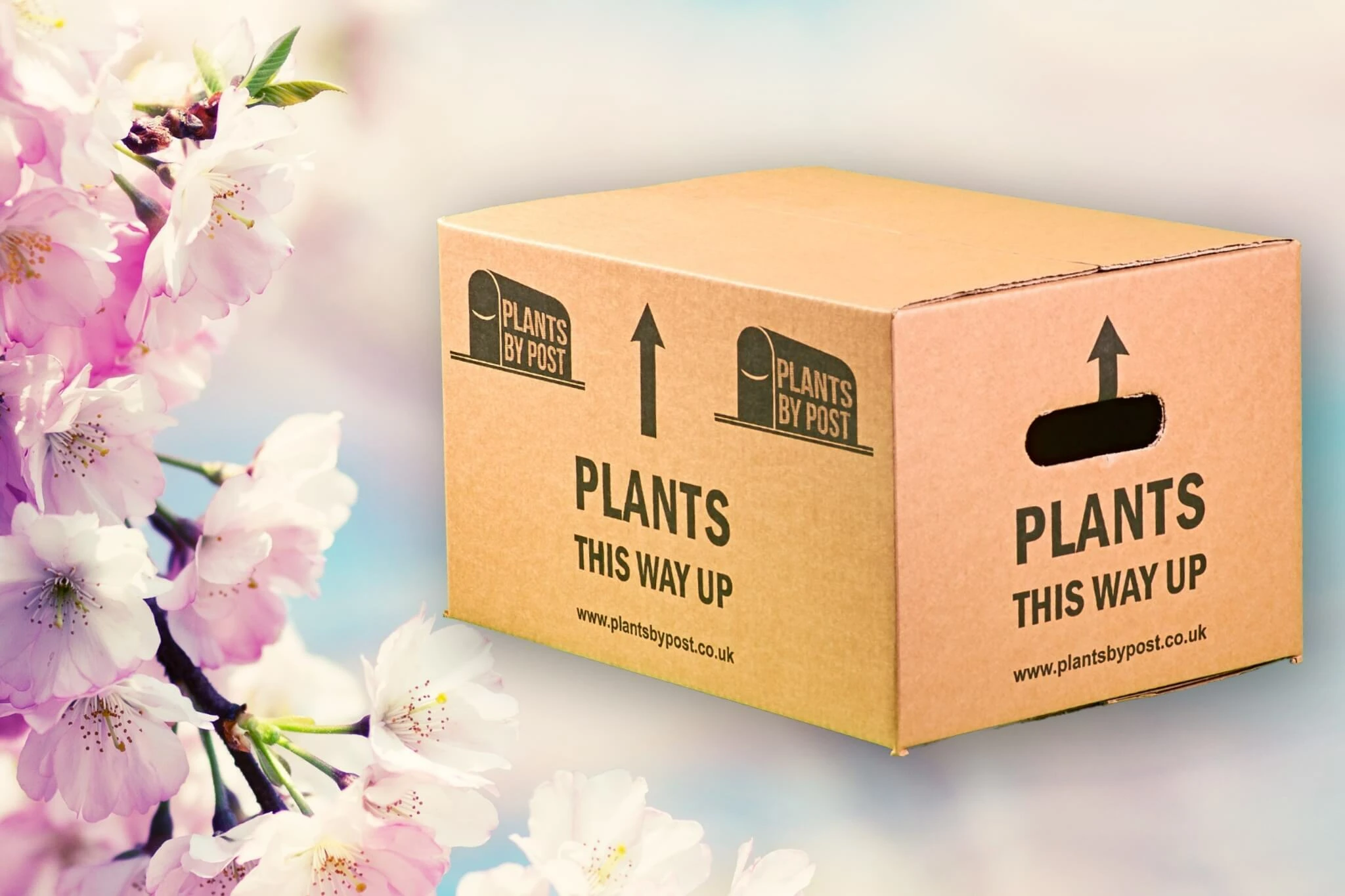 Custom Made Boxes West Yorkshire