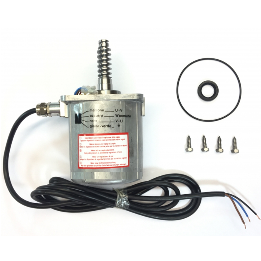 CAME 230v Electric Motor For Frog A & AE