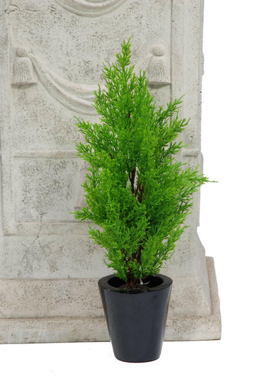 Artificial Plants Suppliers For Churches UK