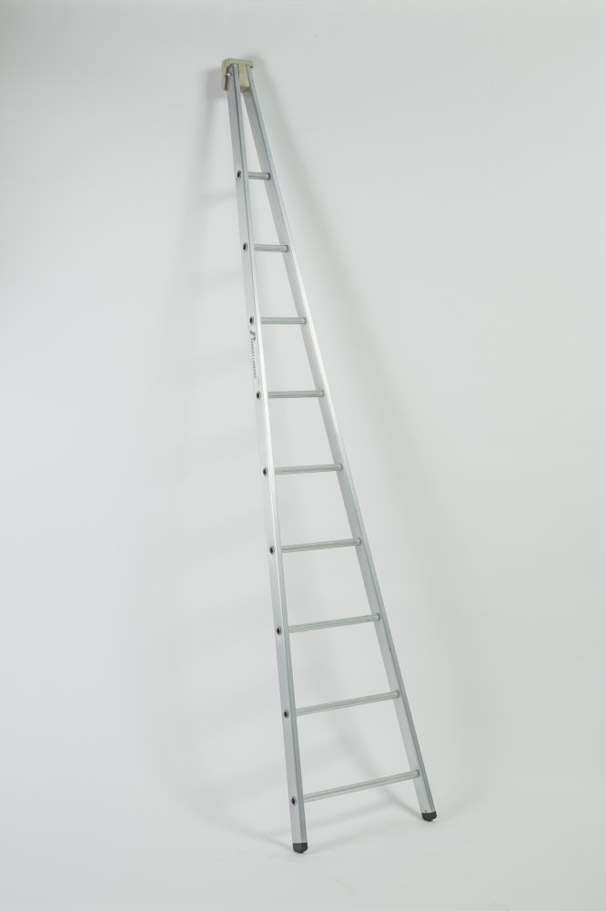 Window Cleaning Ladder / Single Section - SWC