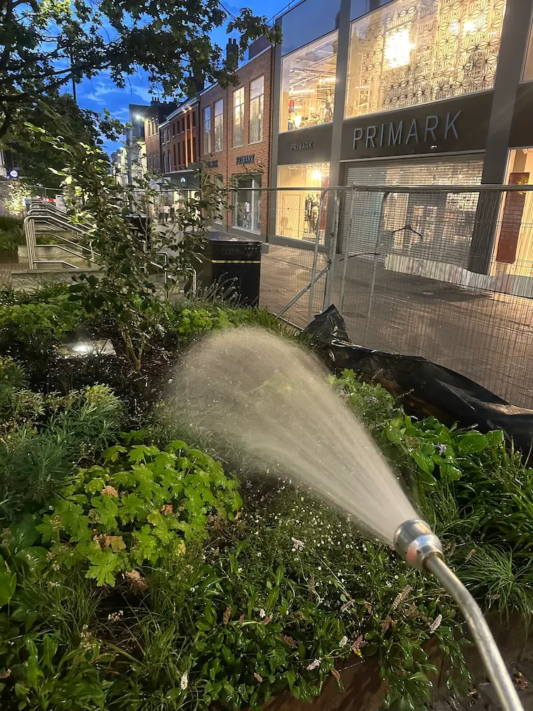 Grass Lawn Watering Services Cringleford