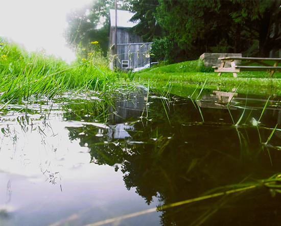 How to Prevent a Garden Lawn from Becoming Waterlogged