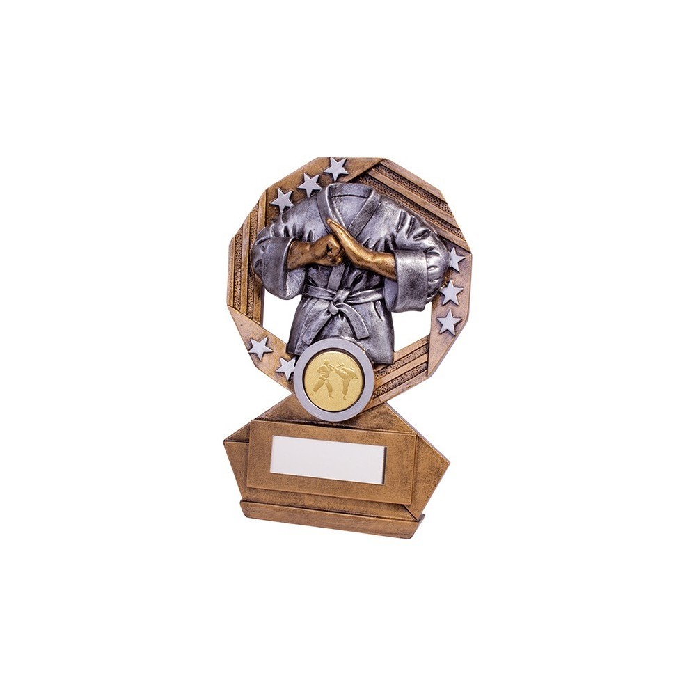 Enigma Karate Award - 3 Sizes