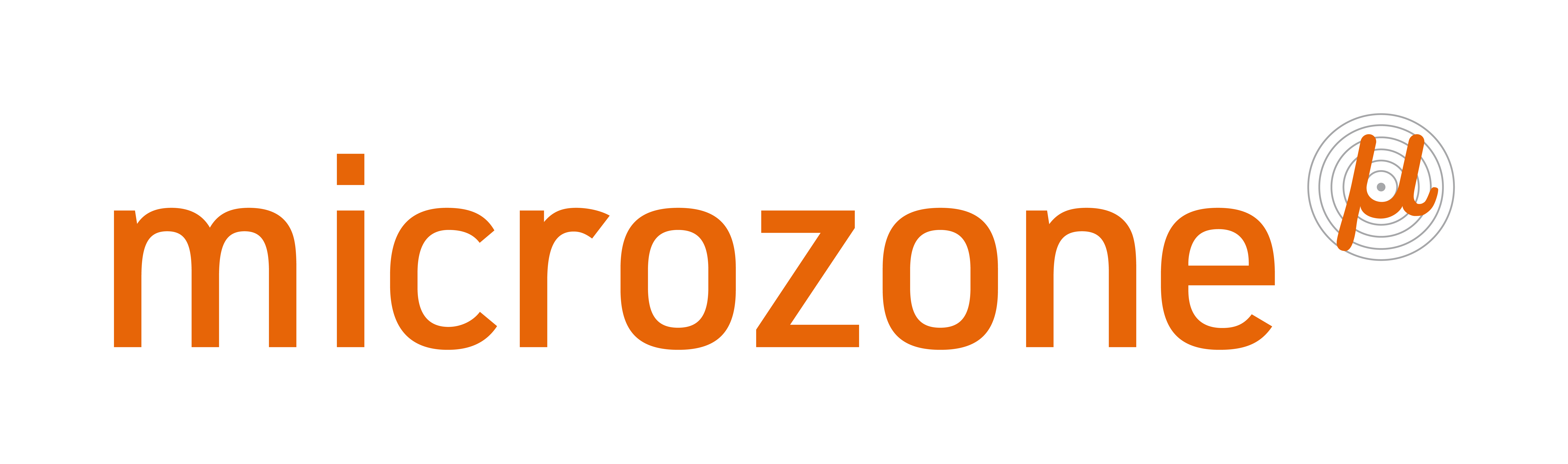 Microzone Ltd