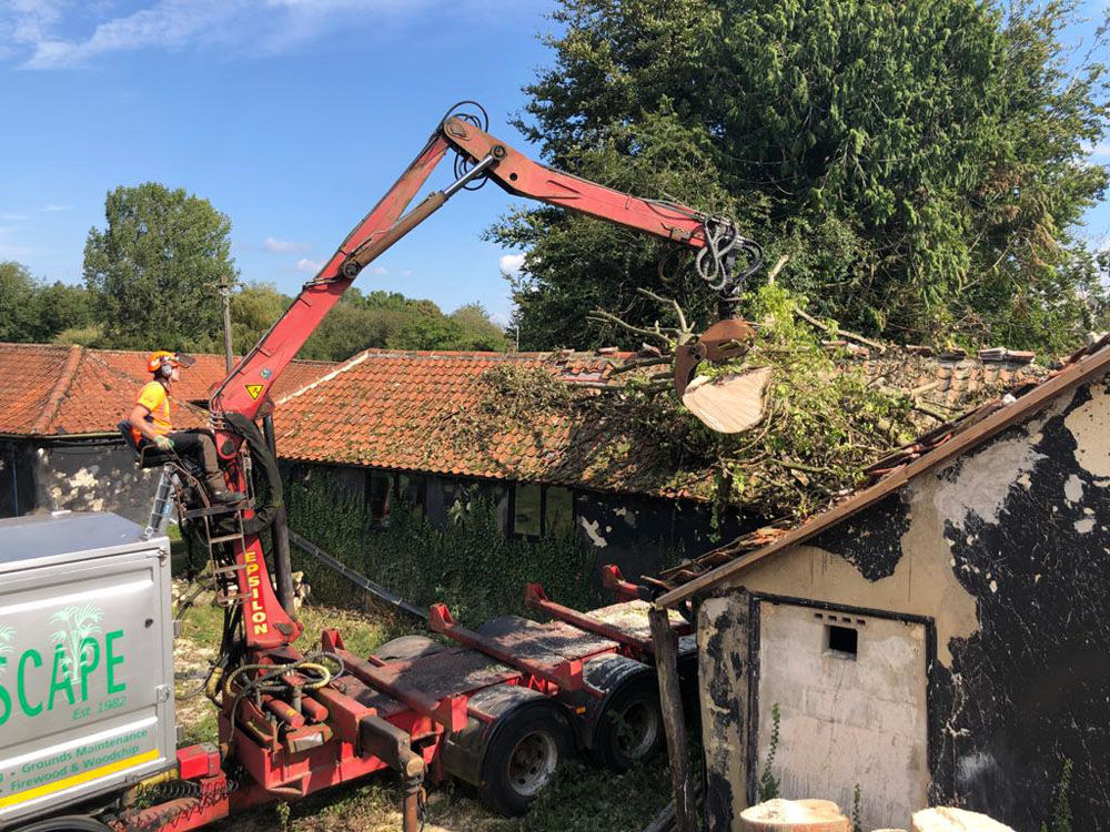 Emergency Tree Work Poringland