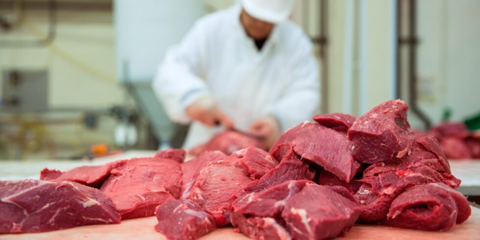 Antibiotics Testing in Food and Meat
