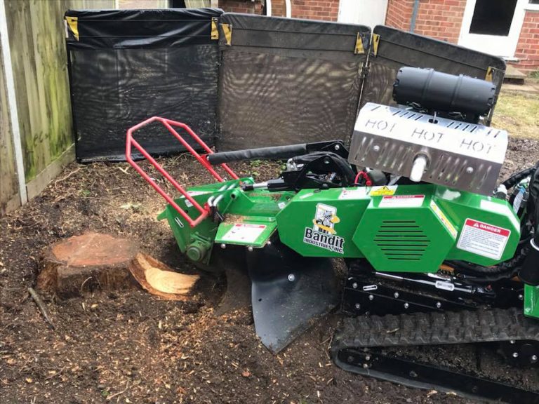 Tree Stump Grinding Services Poringland