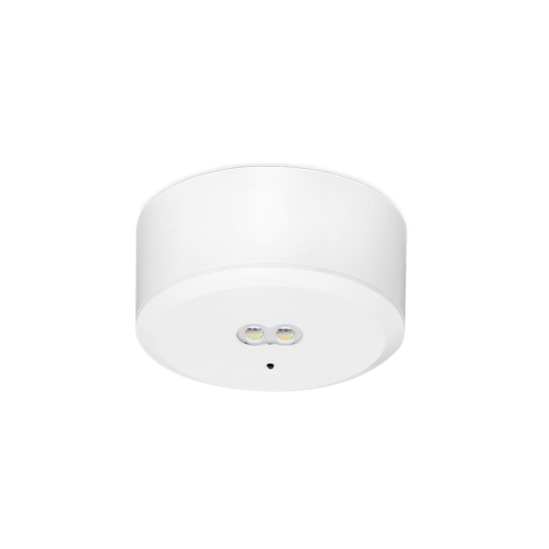 Aurora 3W Self Test Surface/Recessed Emergency LED Downlight