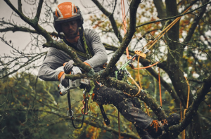 Garden Machinery Sales and Repairs in Oxfordshire
