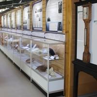 Custom Museum Glass Display Cabinets