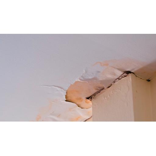 Got a Hole in Your Roof? Don’t Let it Become a Costly Job