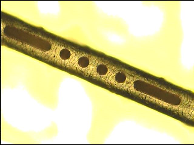 Specialist in Human Hair Drilling
