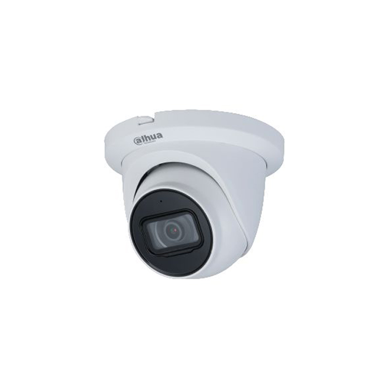 Dahua 4MP WDR IR Eyeball WizMind Network Camera