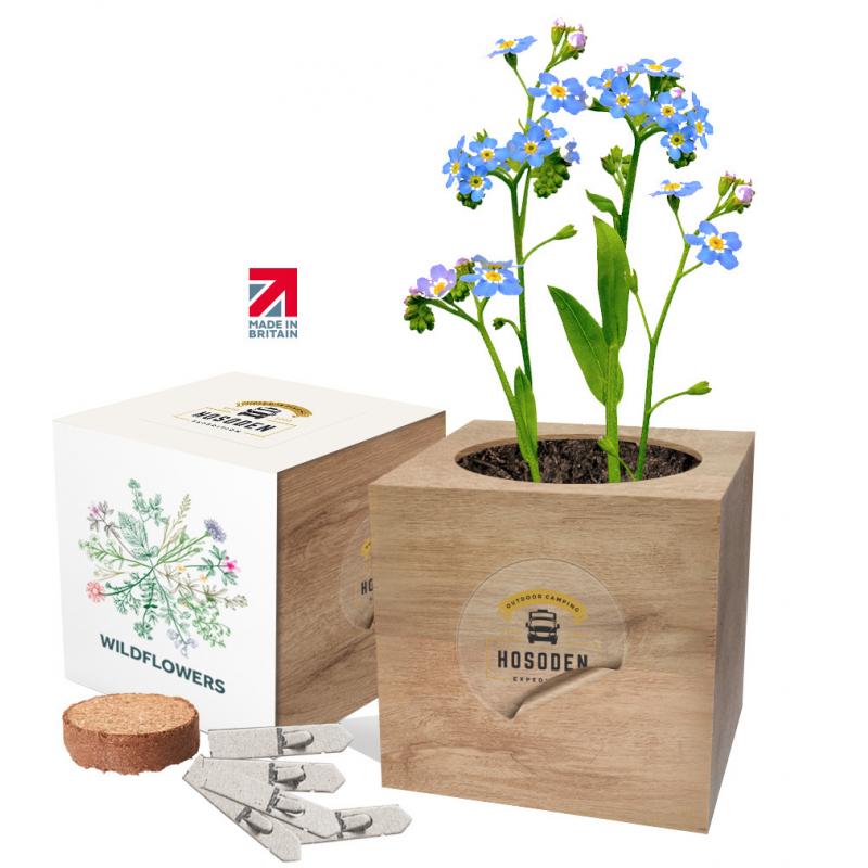 Essential Desktop Cube Gardens