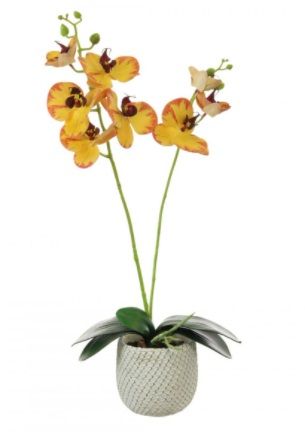 Artificial 2 Stem Phalaenopsis Orchid Arrangement