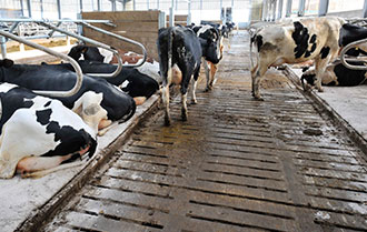 Sectional Slurry Tanks