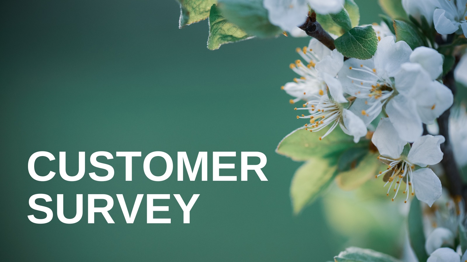 Amberol Customer Survey have your say