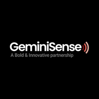Gemini Sense