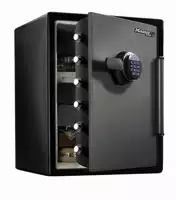 Electronic Lock Security Products