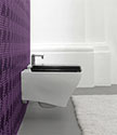 Lulu Art Wall Mounted Toilet (12G)