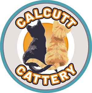 Calcutt Cattery – Warwickshire