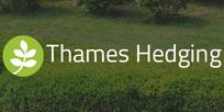 Thames Hedging Ltd