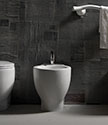 Organic Back to Wall Bidet (9LL)