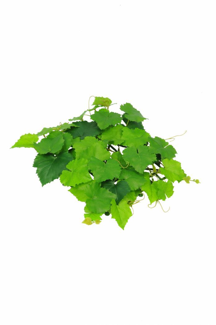 Artificial Topiary Grape Vine Mat FR