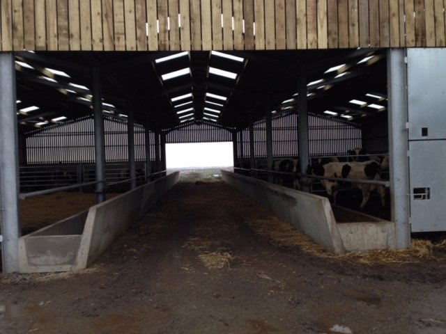 Precast Feed Troughs For Livestock Farms
