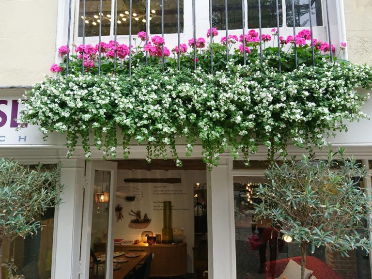 Suppliers Of Entrance Planters Mulbarton