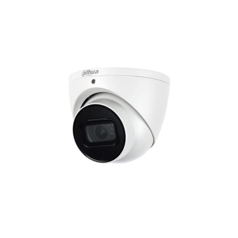Dahua Fixed-Focal Eyeball WizSense Network Camera 5MP