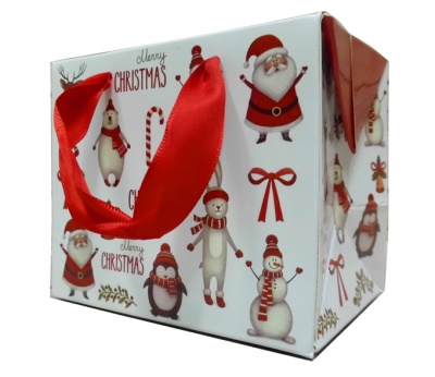 FLAT TOP GIFT BAG (single) - small CHRISTMAS CHARACTERS