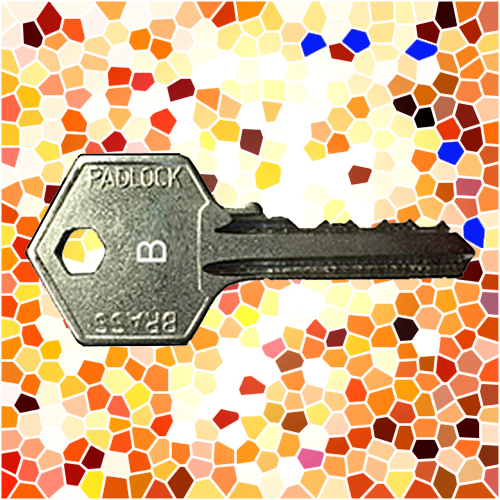 ASEC Padlock Key B