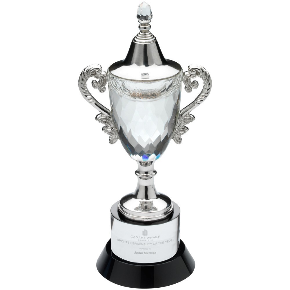 Suppliers Of Glass Cup Award - 3 sizes Hertfordshire