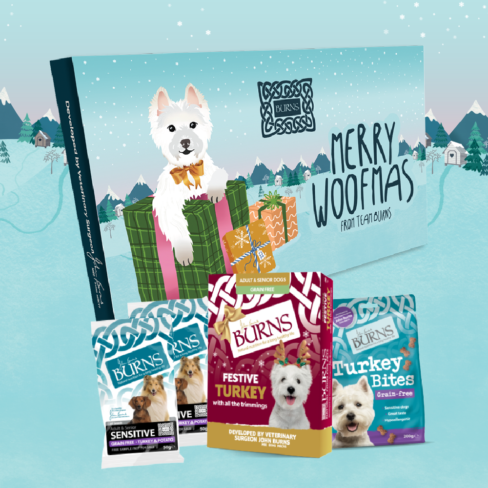 Suppliers of Pet Food- Festive Gift Box