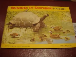 Rare Brooke Bond Wildlife In Danger Series Album & Stuck In Set 1963