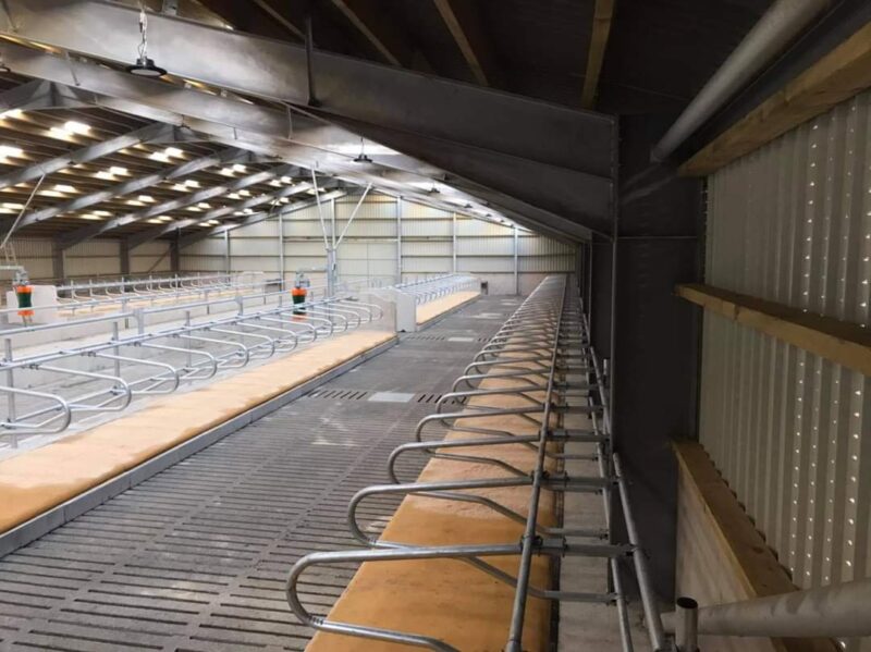 Cattle Maxi Slats