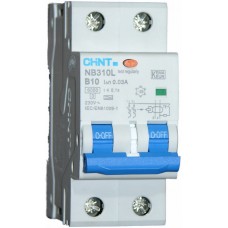 Residual Current Operated Circuit Breakers, 2 Pole B curve  Type A,RCBO's - NB310L