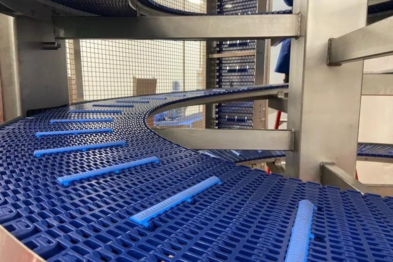 Key Considerations When Designing Food Industry Conveyor Systems