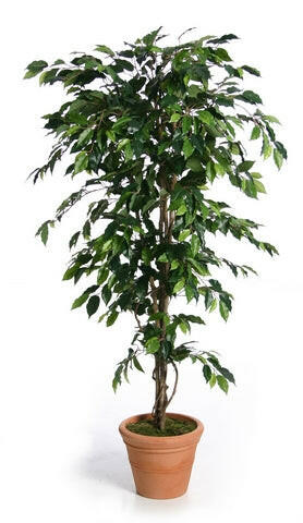 Artificial Tree Suppliers UK