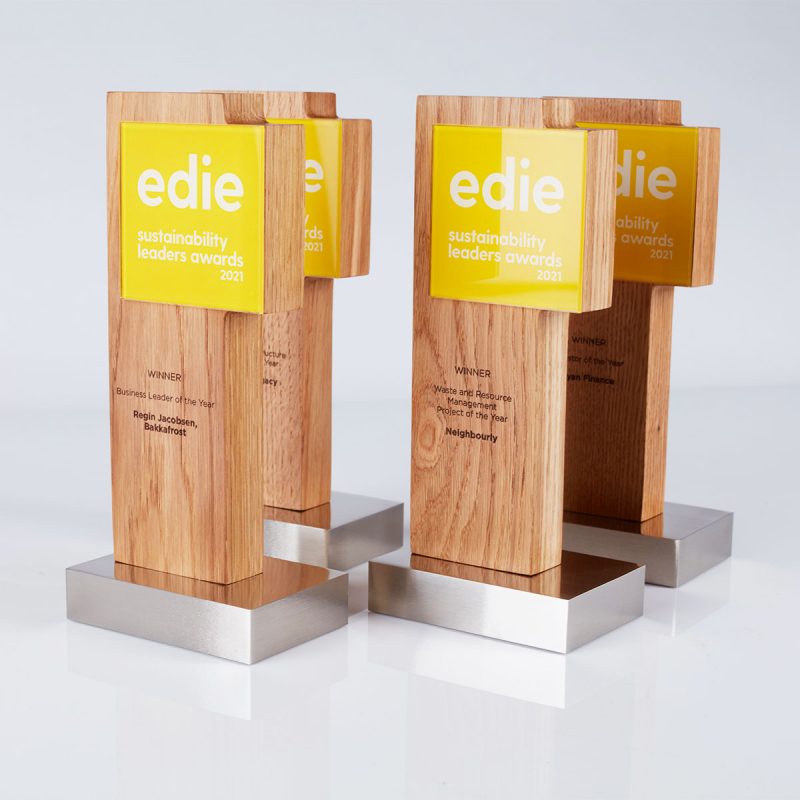 Edie Award