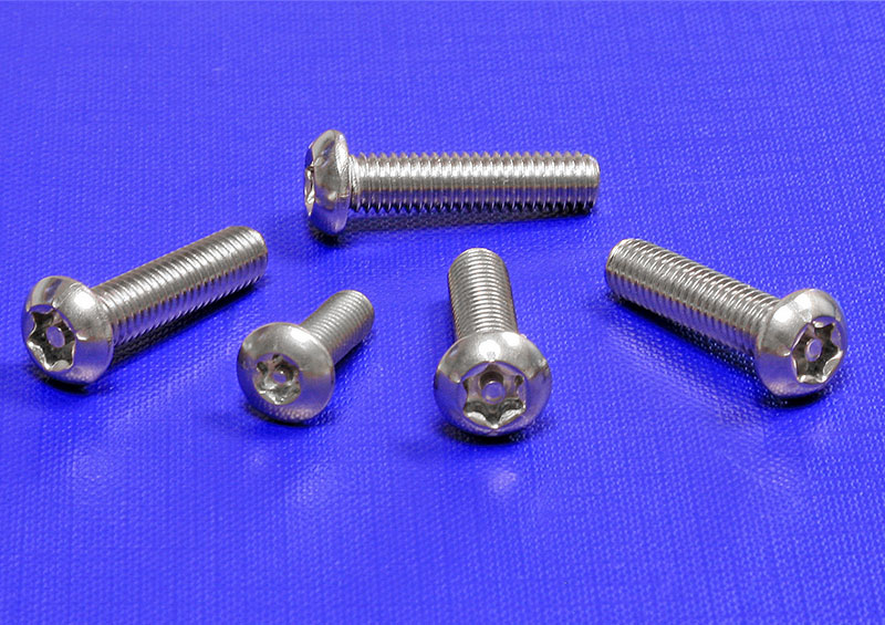 Specialized Security Screws For Secure Installations